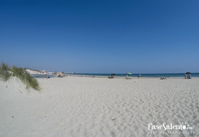 Casa a Torre Chianca - Villa vacanze con grande giardino fronte spiaggia di sabbia m730