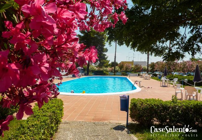 Ferienwohnung in Torre dell´Orso - Ferienwohnung mit Pool in Residenz für 4 bis 8 Personen m113