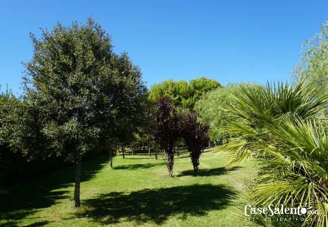 Apartment in Muro Leccese - 1 bedroom flat with shared pool and sports field m662