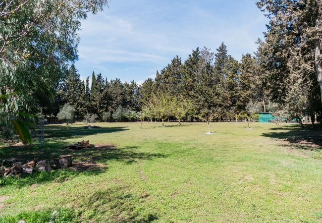 villa à Martano - A vendre villa d'investissement grand jardin v290