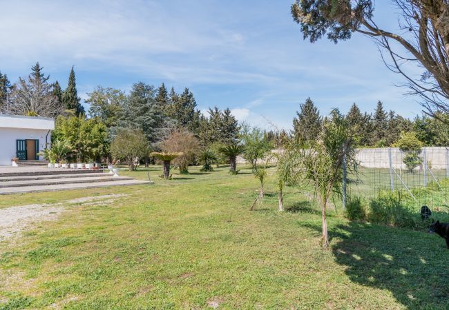 villa à Martano - A vendre villa d'investissement grand jardin v290