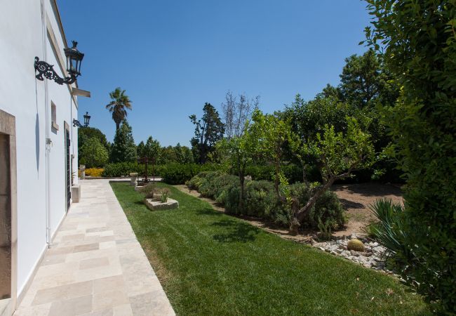 Villa a Galatina - Villa ottocentesca grande piscina e giardino v800